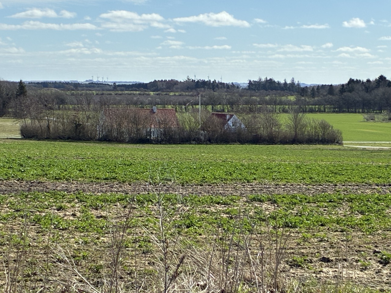 Suchbild%202